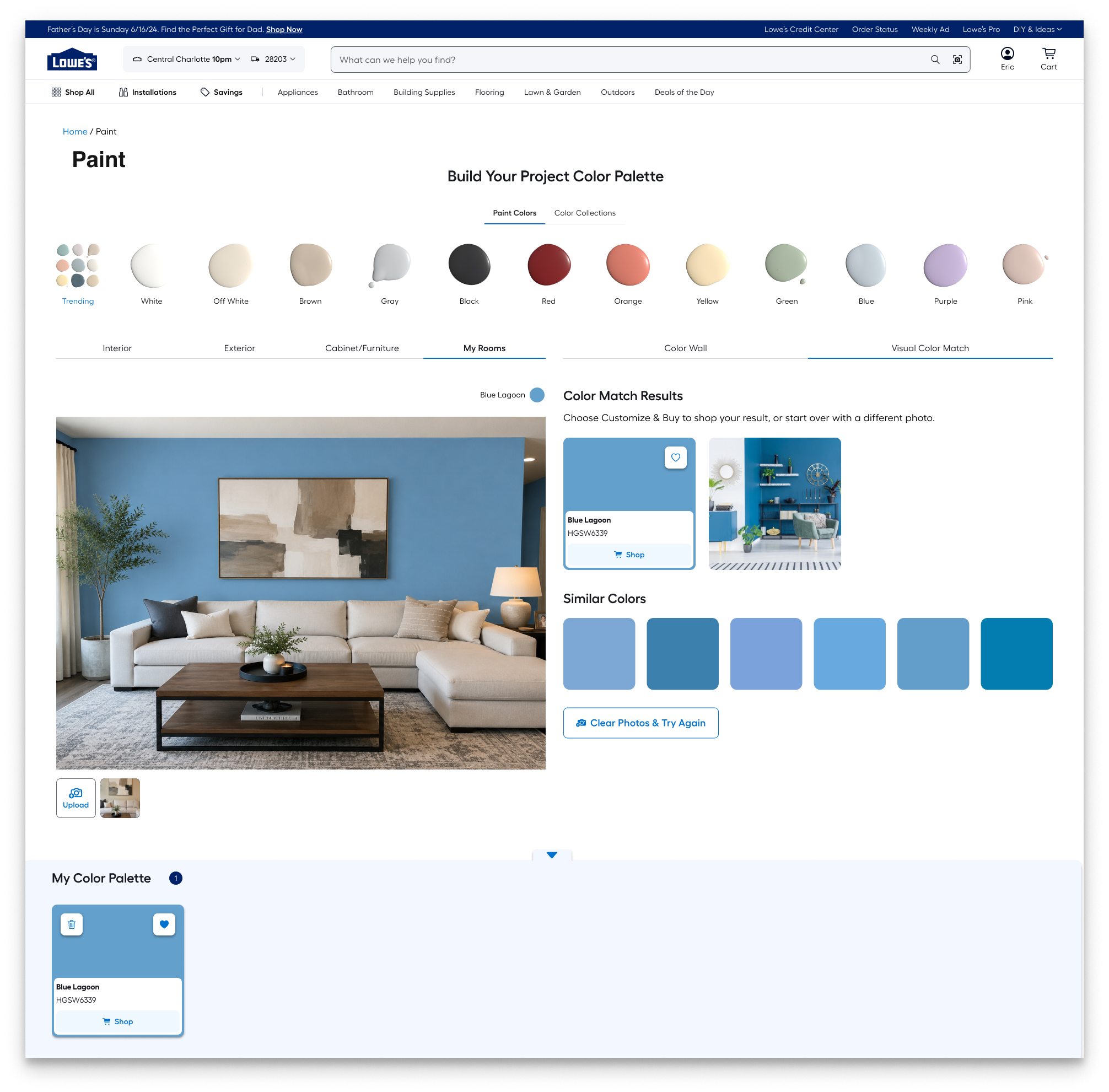 Color Match Results showing single match, room visualization, and similar colors